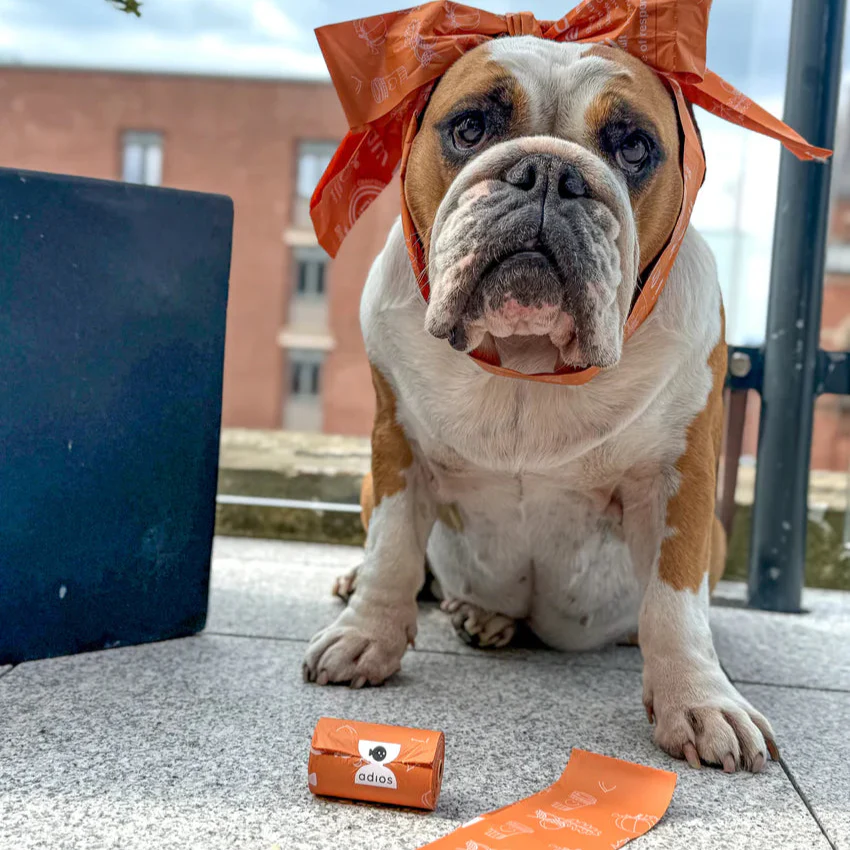 Adios Plastic Limited Edition Autumn Compostable Poop Bag - Image 4