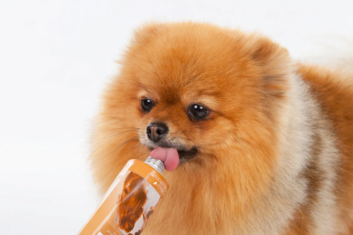 Arden Grange Tasty Liver Paste - Image 6