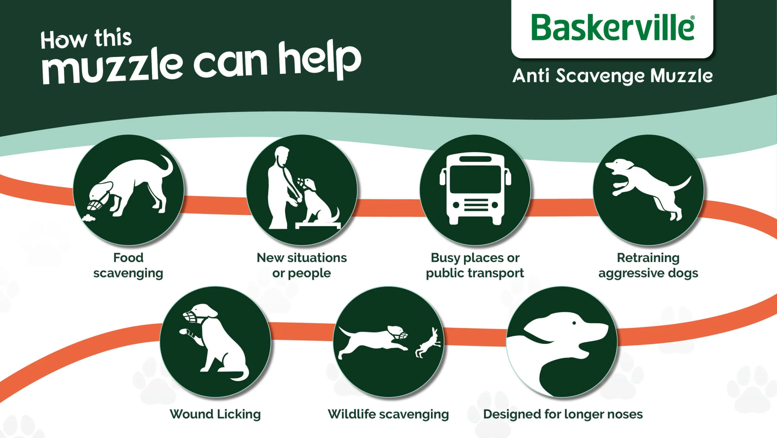 CoA Baskerville Anti-Scavenge Muzzle for Dogs - Image 5