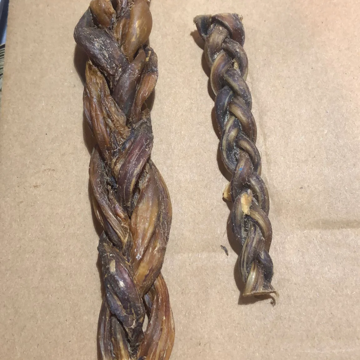 Braided Buffalo Pizzle - Image 3