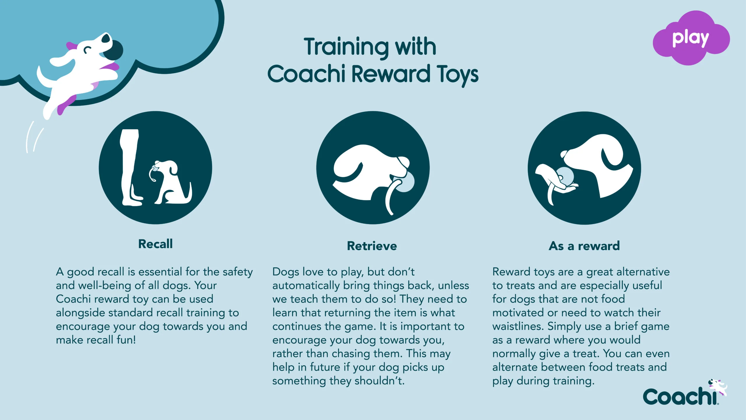 CoA Coachi Chase & Treat Training Toy - Image 7