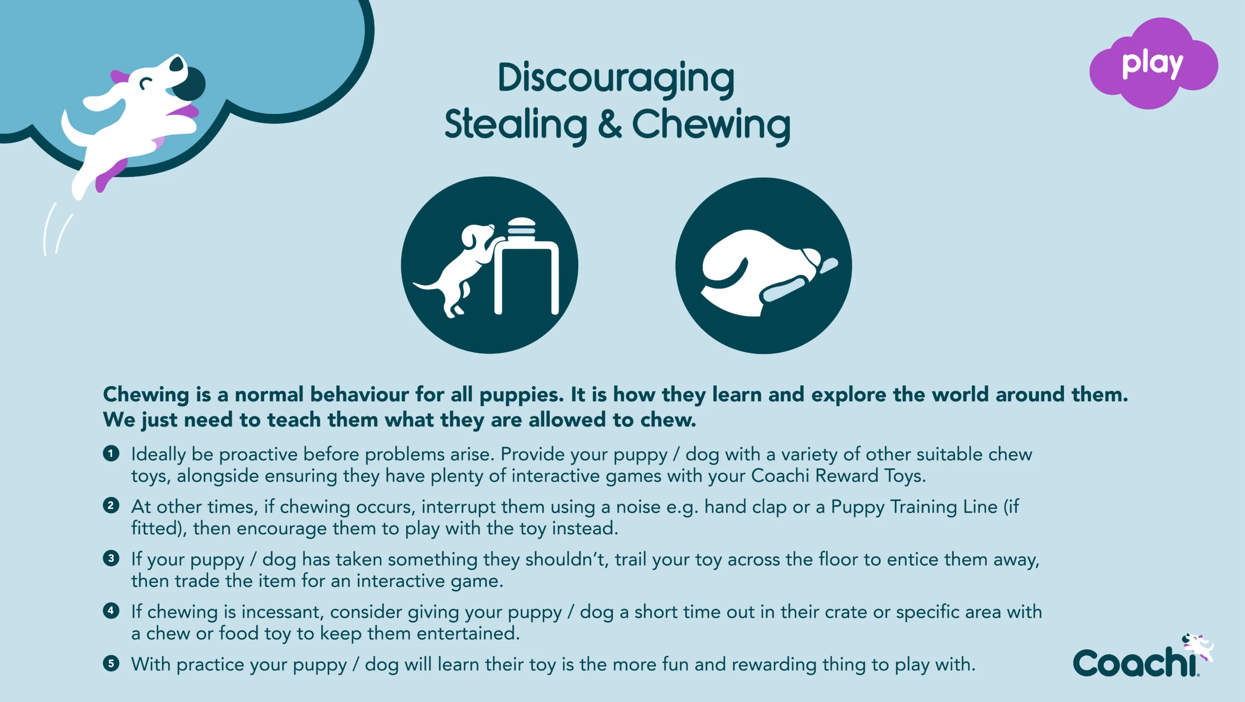 CoA Coachi Chase & Treat Training Toy - Image 8