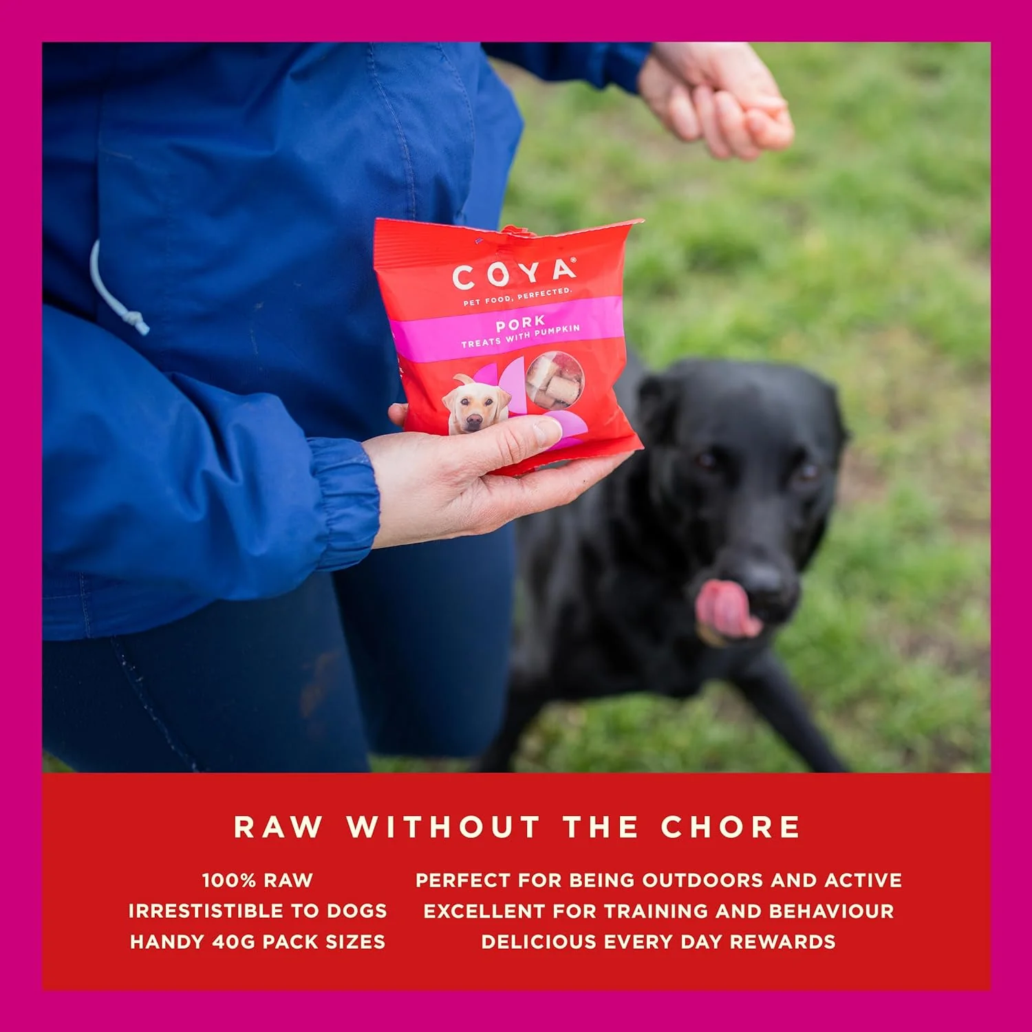 Coya Freeze Dried Dog Treats - Image 7
