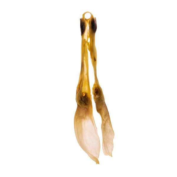 Create Your Own Natural Selection Pack - Image 24