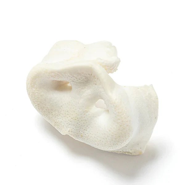 Create Your Own Natural Selection Pack - Image 34