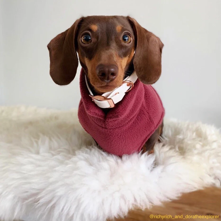 Dachshund Fleece Jumper - Image 13