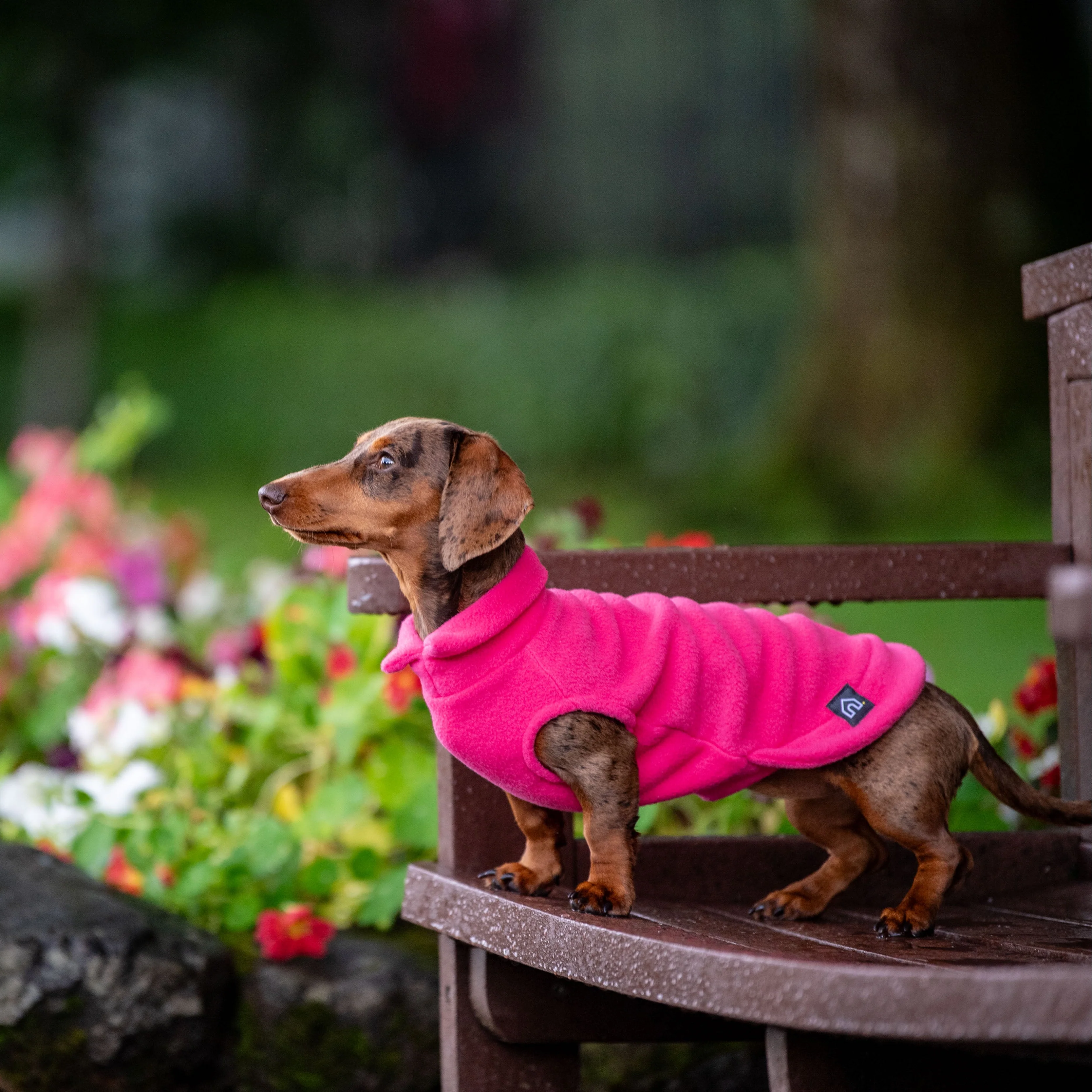 Dachshund Fleece Jumper - Image 3
