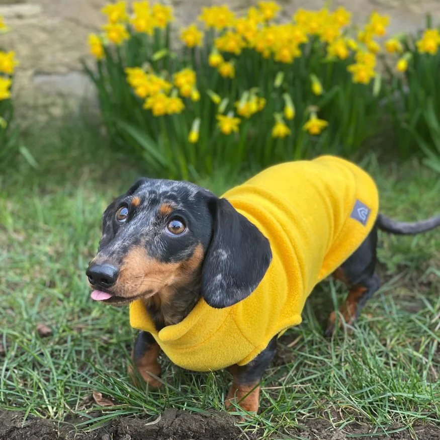 Dachshund Fleece Jumper - Image 8