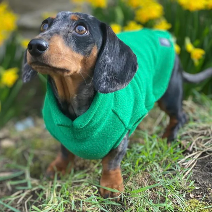 Dachshund Fleece Jumper - Image 9