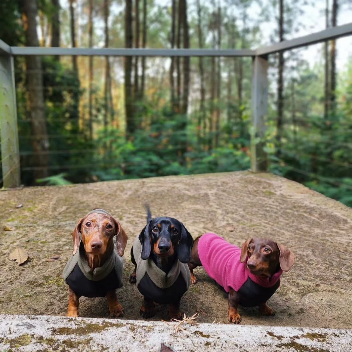 Dachshund Fleece Jumper with Waterproof Belly Panel - Image 4