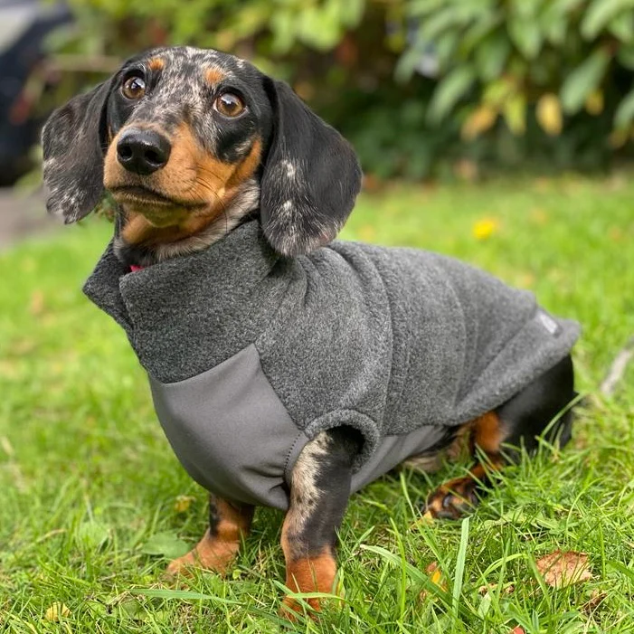 Dachshund Fleece Jumper with Waterproof Belly Panel - Image 9