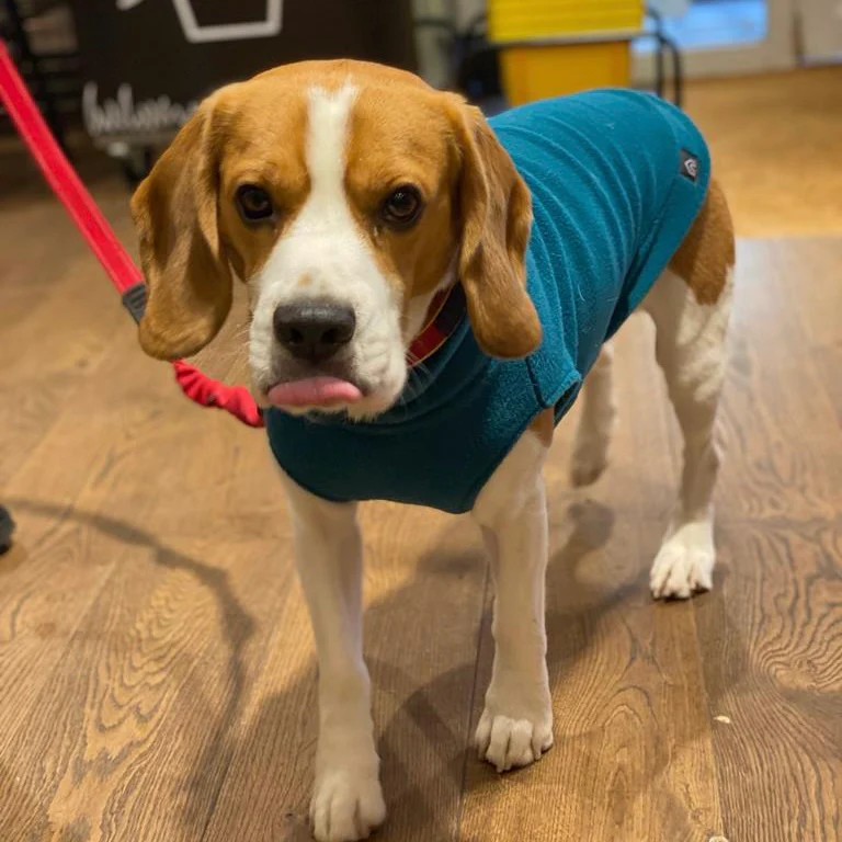 Medium Breed Dog Fleece Jumper - Image 10