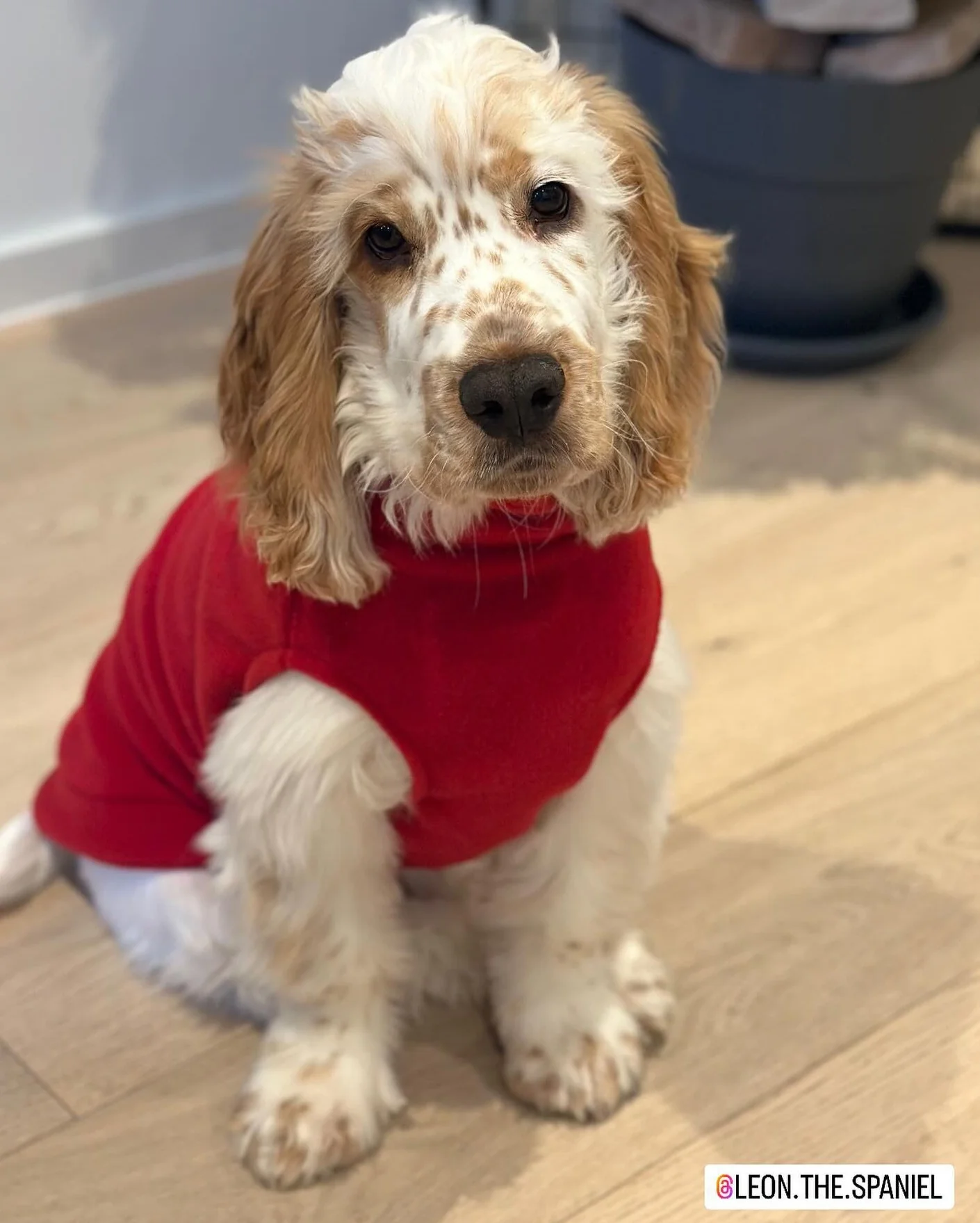 Medium Breed Dog Fleece Jumper - Image 11