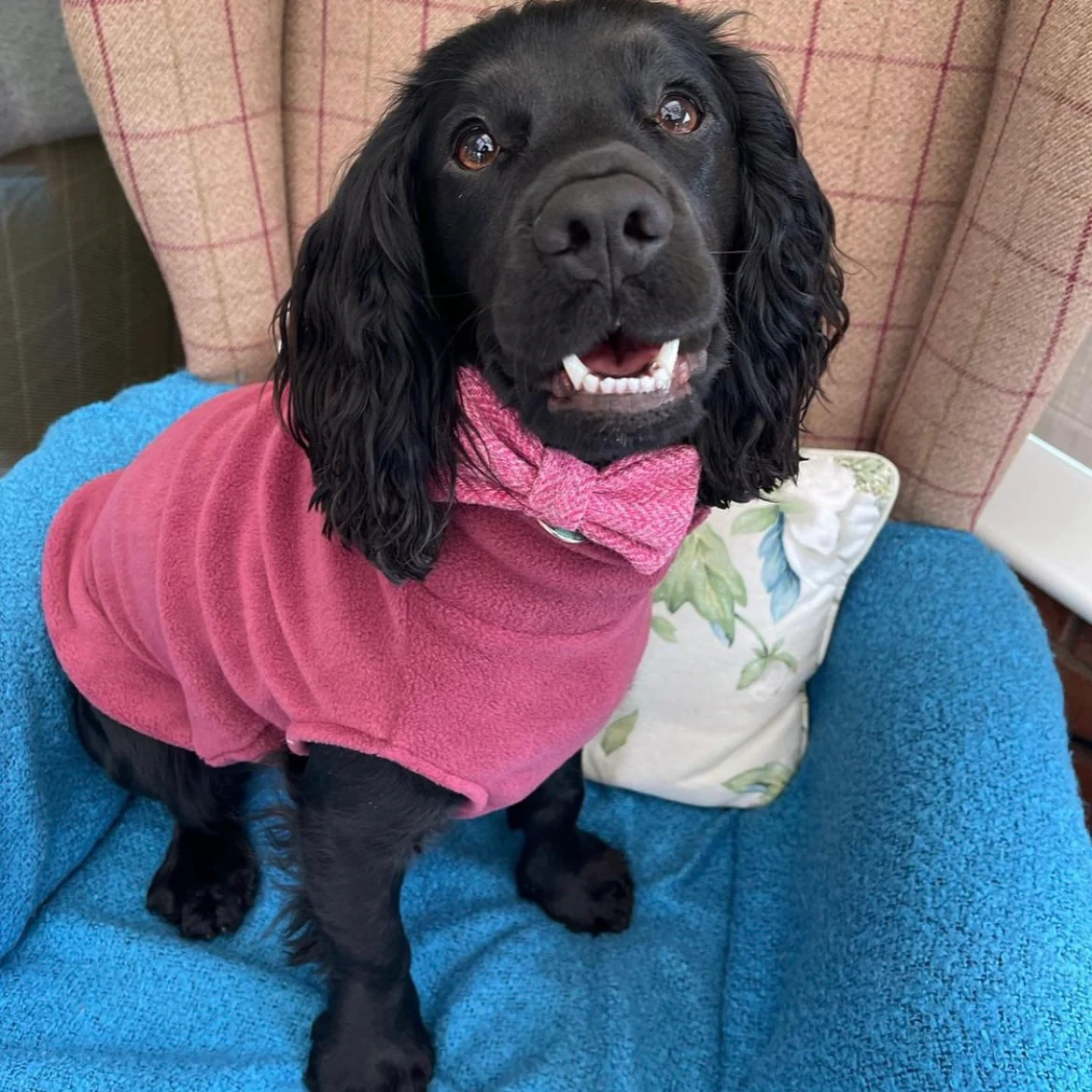 Medium Breed Dog Fleece Jumper - Image 8