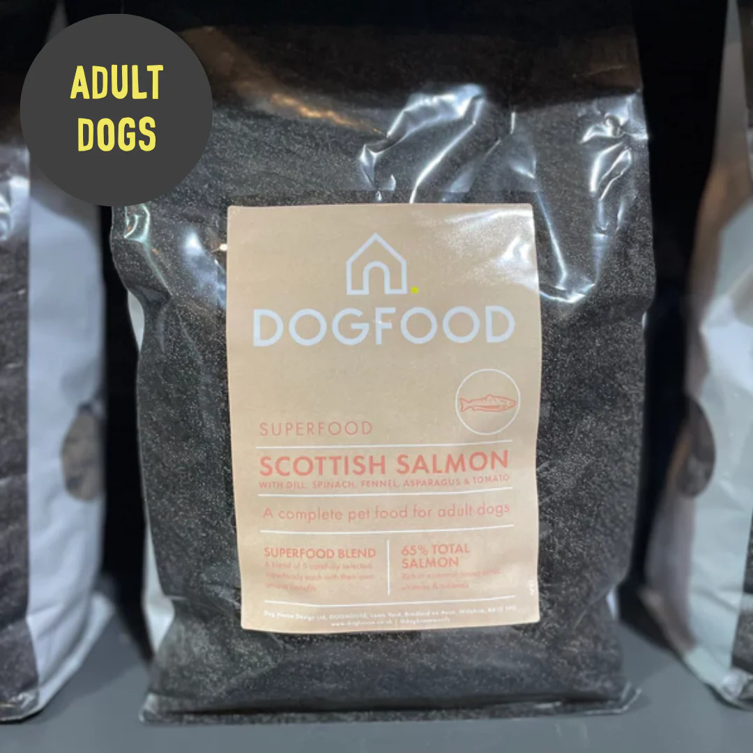 DOGFOOD Superfood Scottish Salmon for Adult Dogs - Image 5