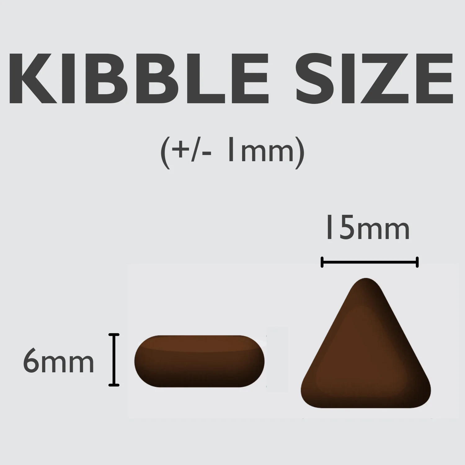 DOGFOOD Superfood Scottish Salmon for Adult Dogs - Image 9