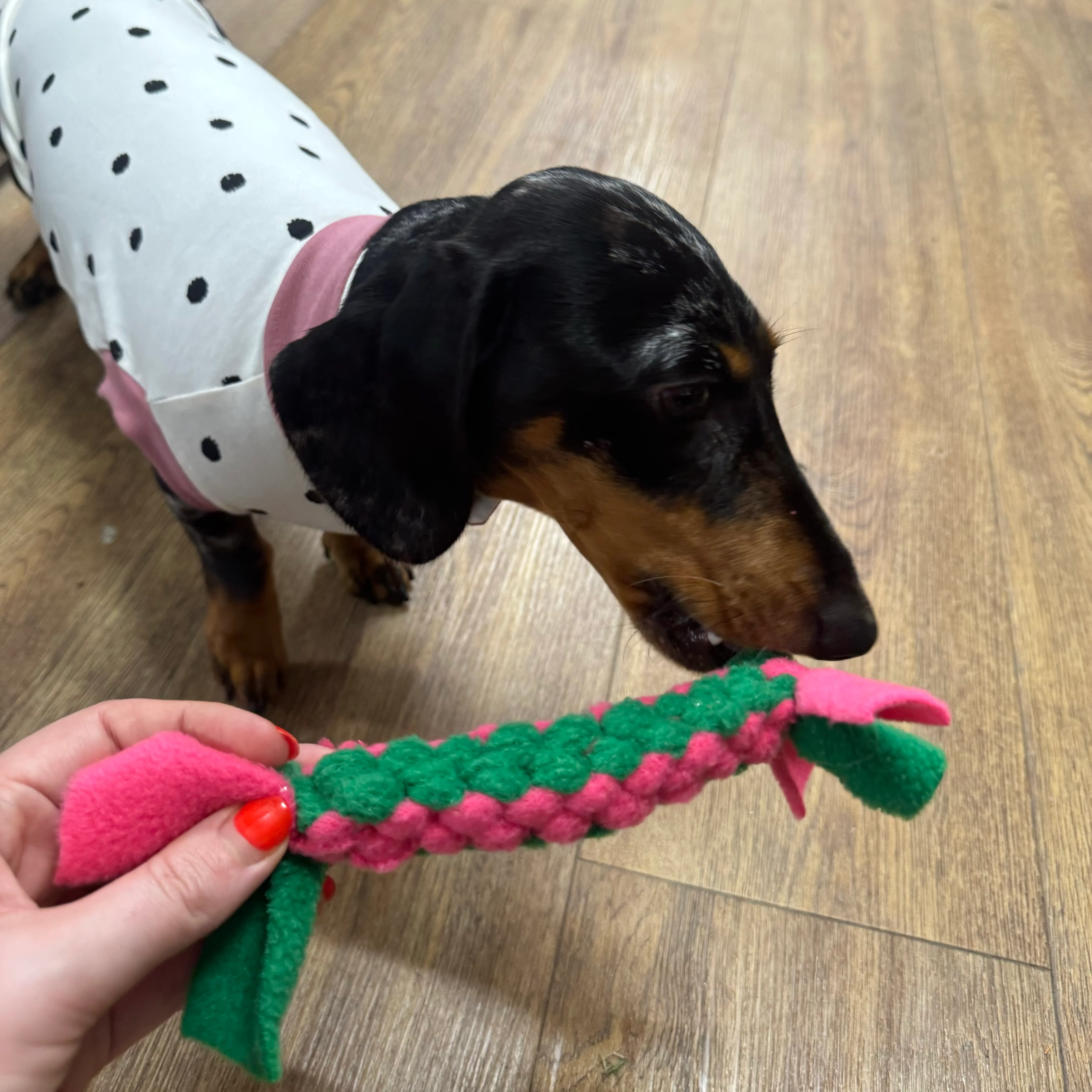Doghouse Play and Tug Fleece Toy - Image 4