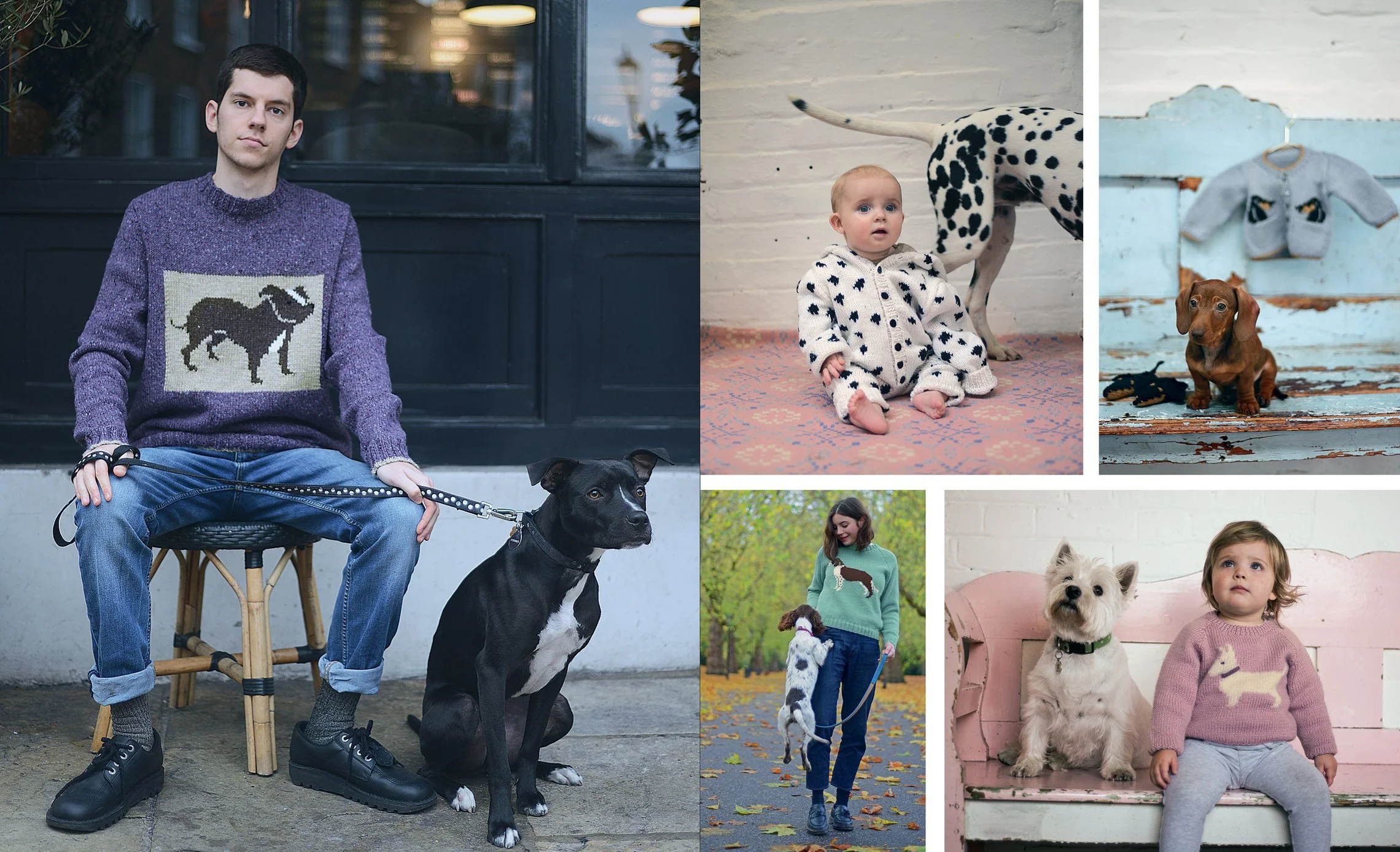 Dogs on Jumpers by Sally Muir & Joanna Osbourne - Image 6