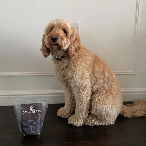 DOGTREATS Fish Dog Treat - Image 5