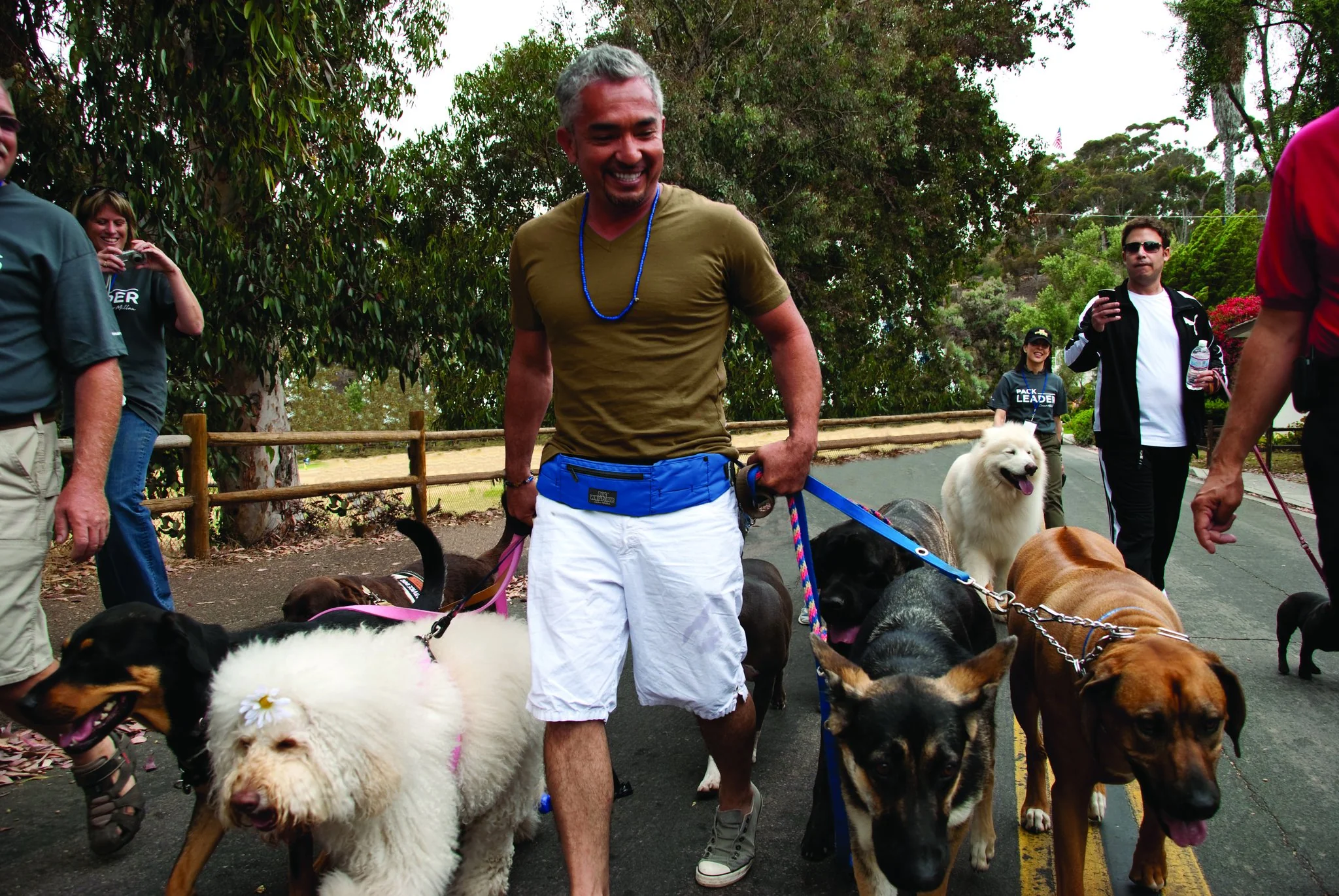 DOOG Walkie Belt - Image 5