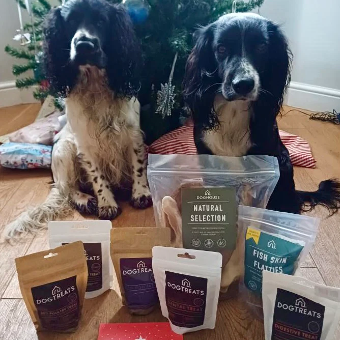 DOGTREATS Fish Dog Treat - Image 6