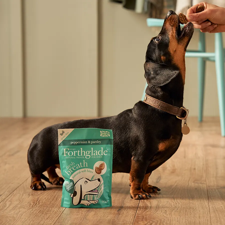 Forthglade Fresh Breath Soft Bites - Image 4