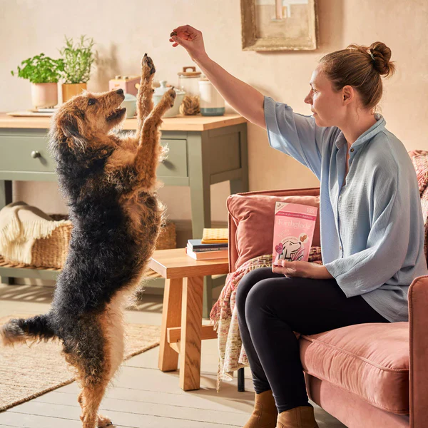 Forthglade Functional Soft Bites Joints And Bones - Image 3