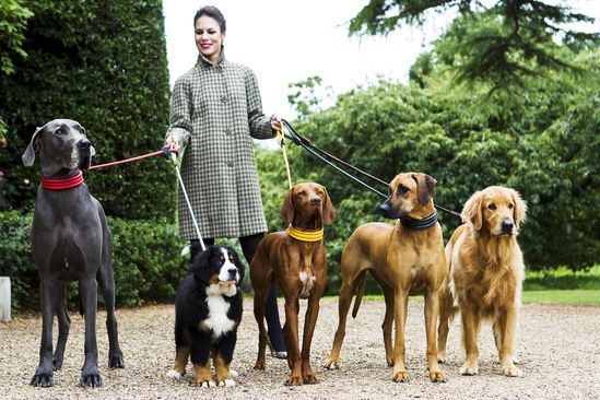 D&H Green Rolled Leather Dog Collar - Image 4