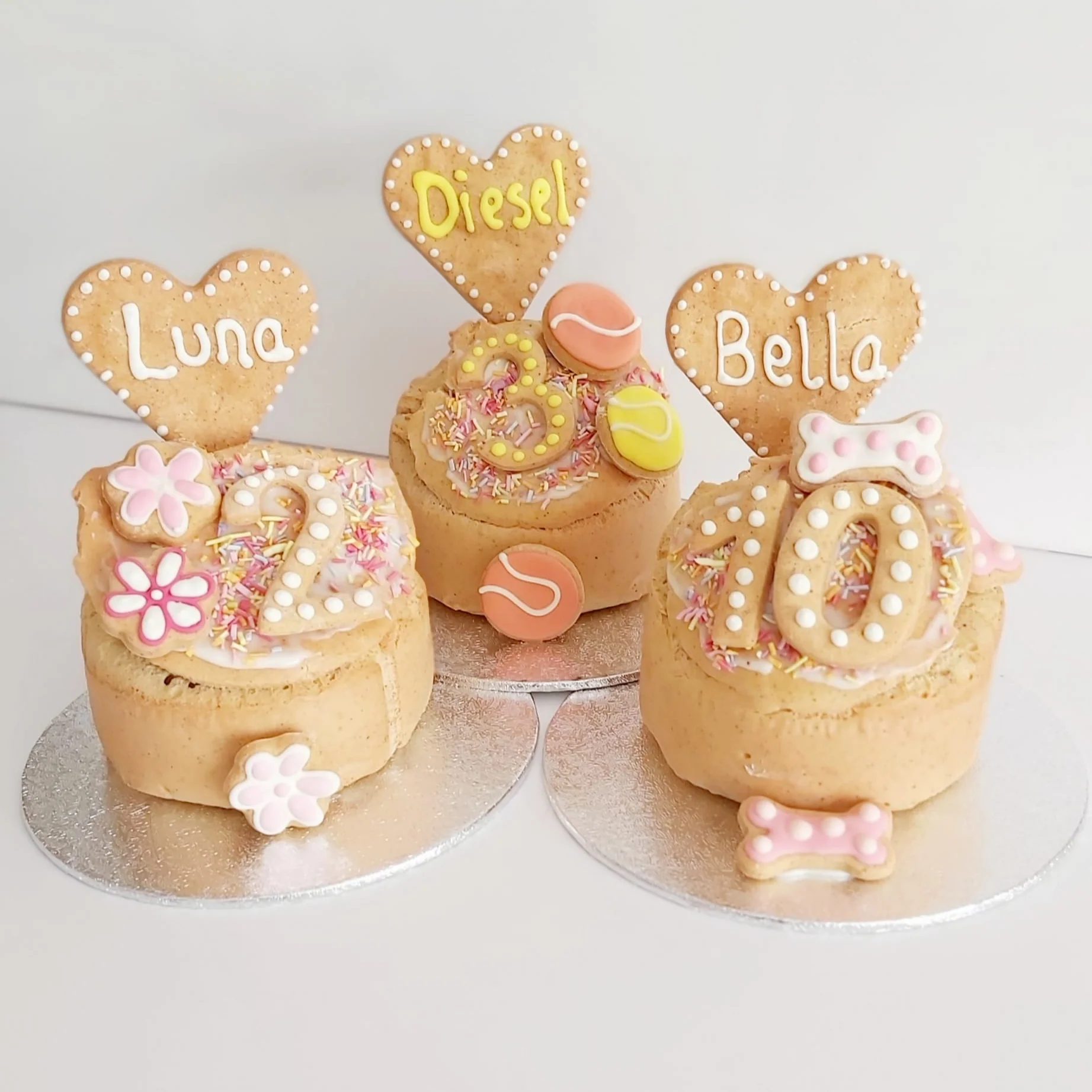 Handmade Birthday Cakes for Dogs - Image 10