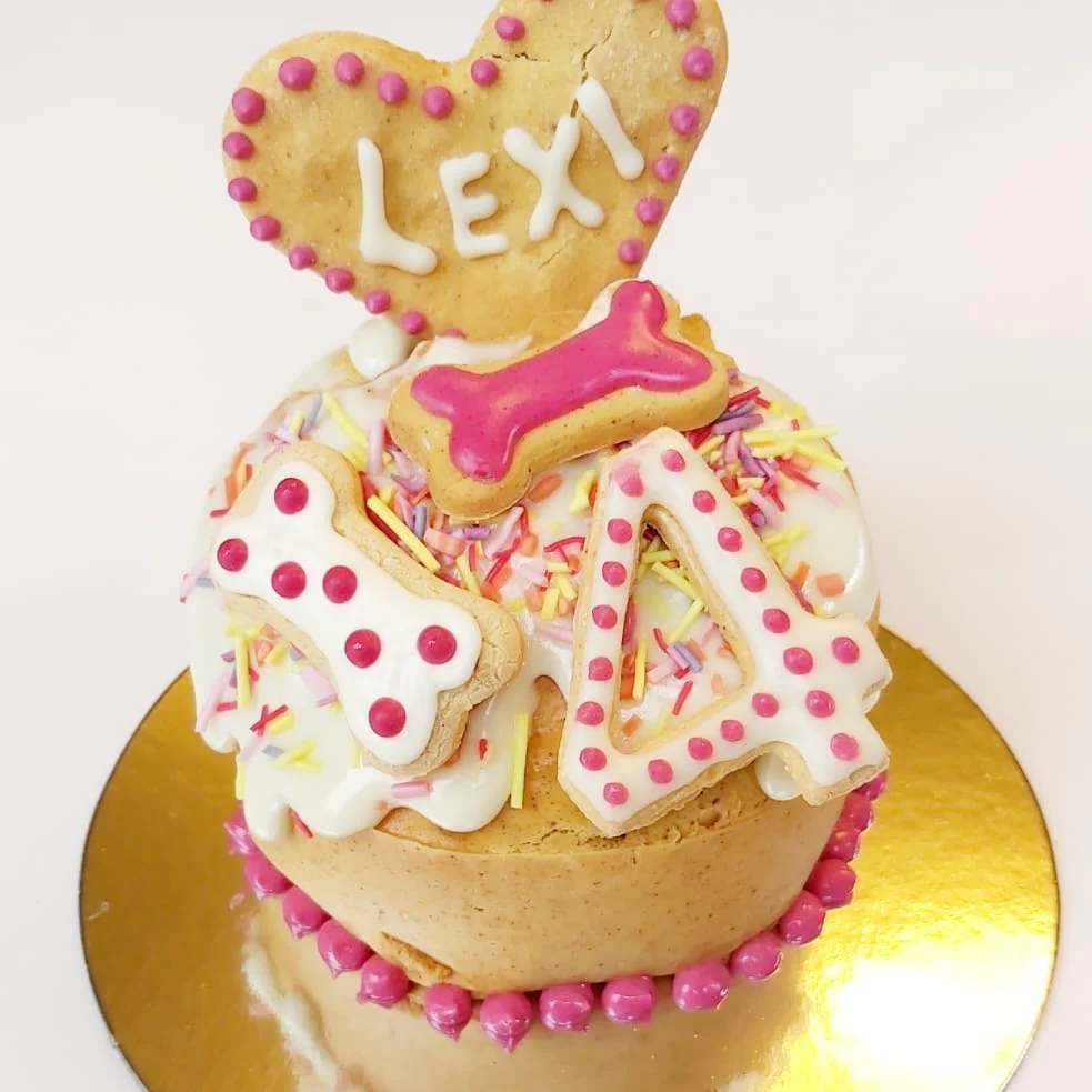 Handmade Birthday Cakes for Dogs - Image 11