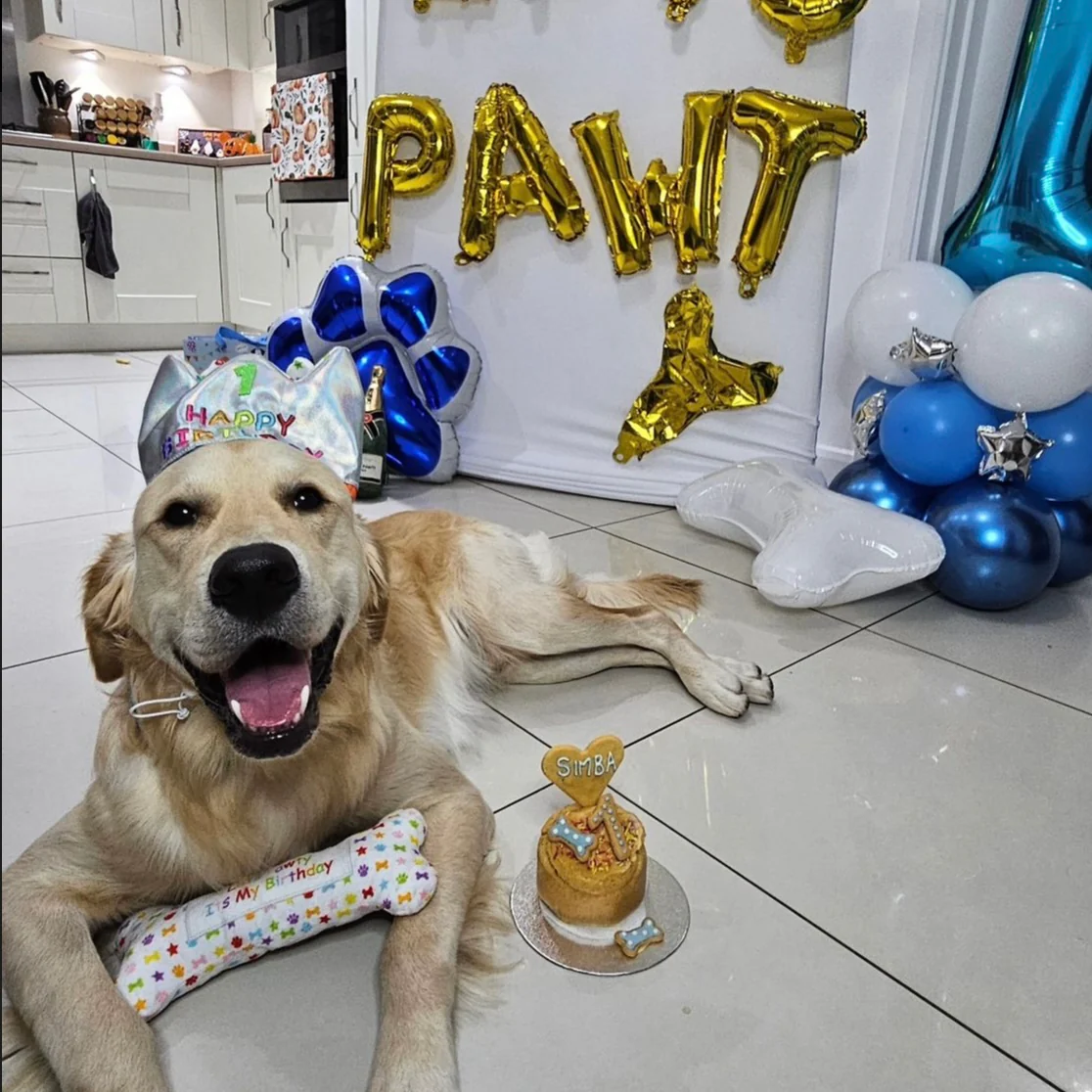 Handmade Birthday Cakes for Dogs - Image 17