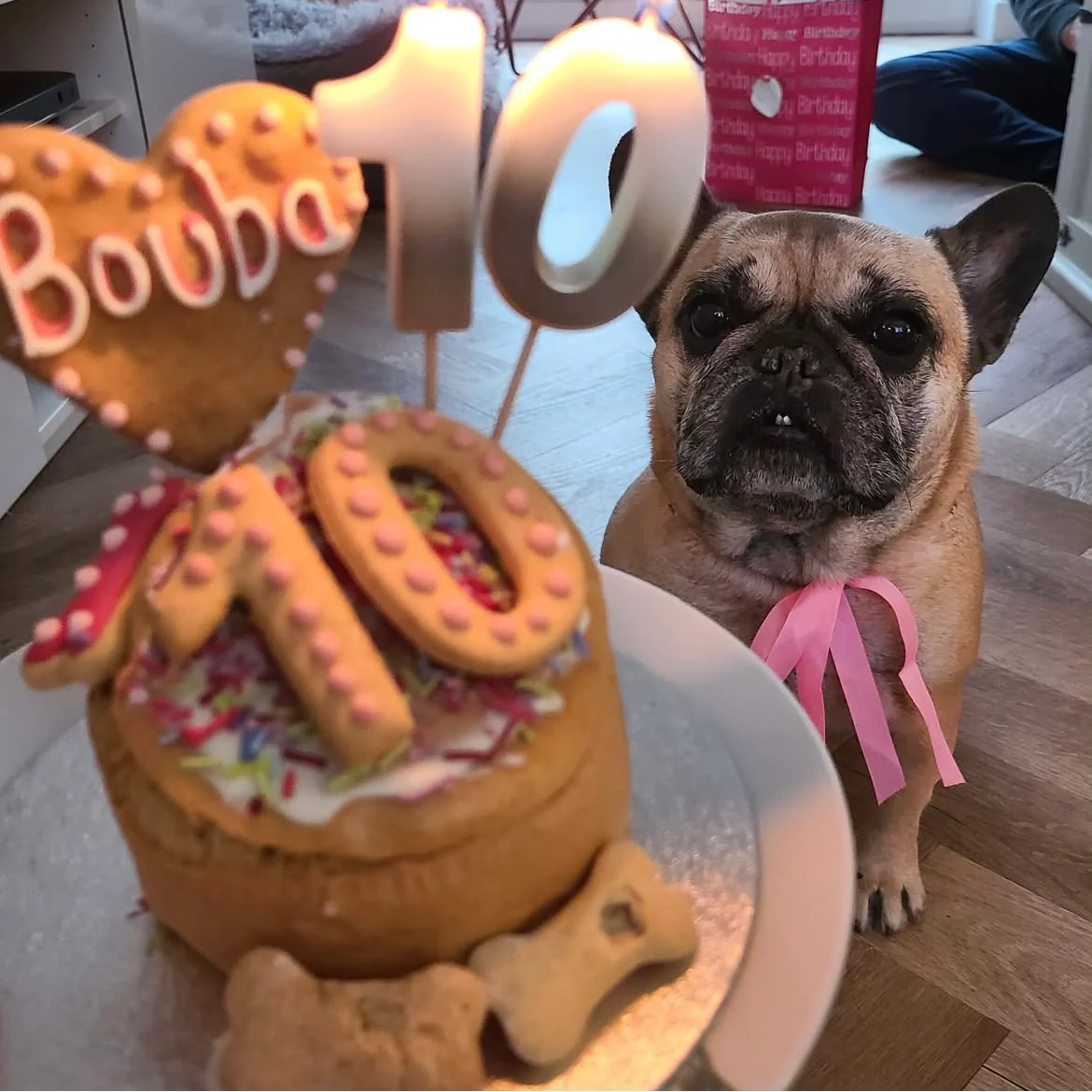 Handmade Birthday Cakes for Dogs - Image 19