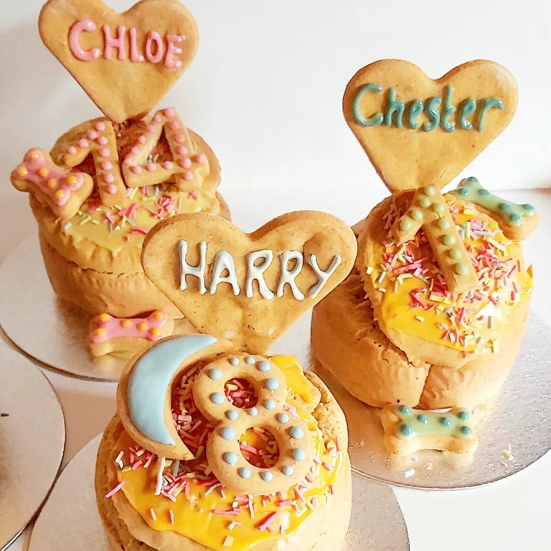 Handmade Birthday Cakes for Dogs - Image 4