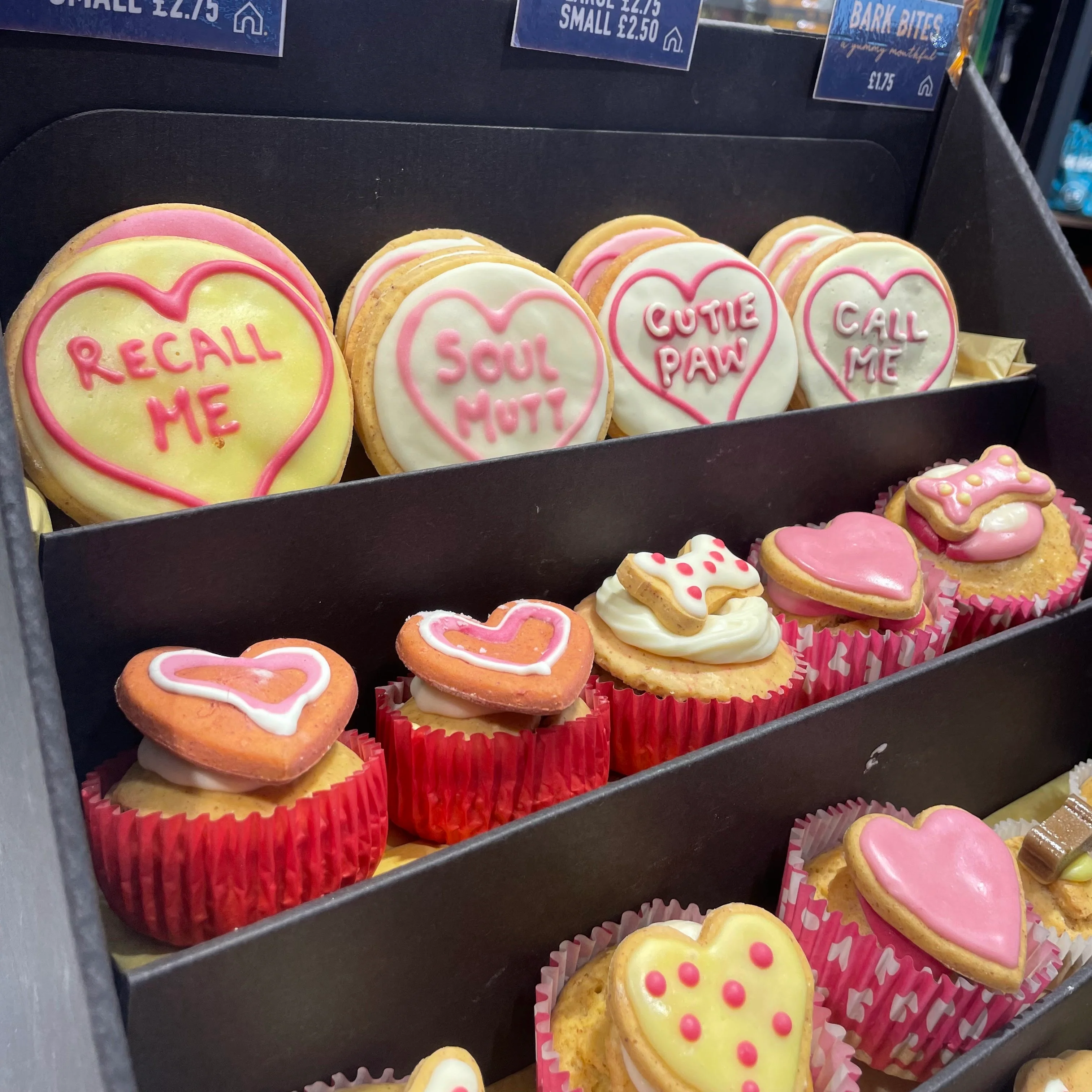 Handmade Cupcakes for Dogs - Image 8