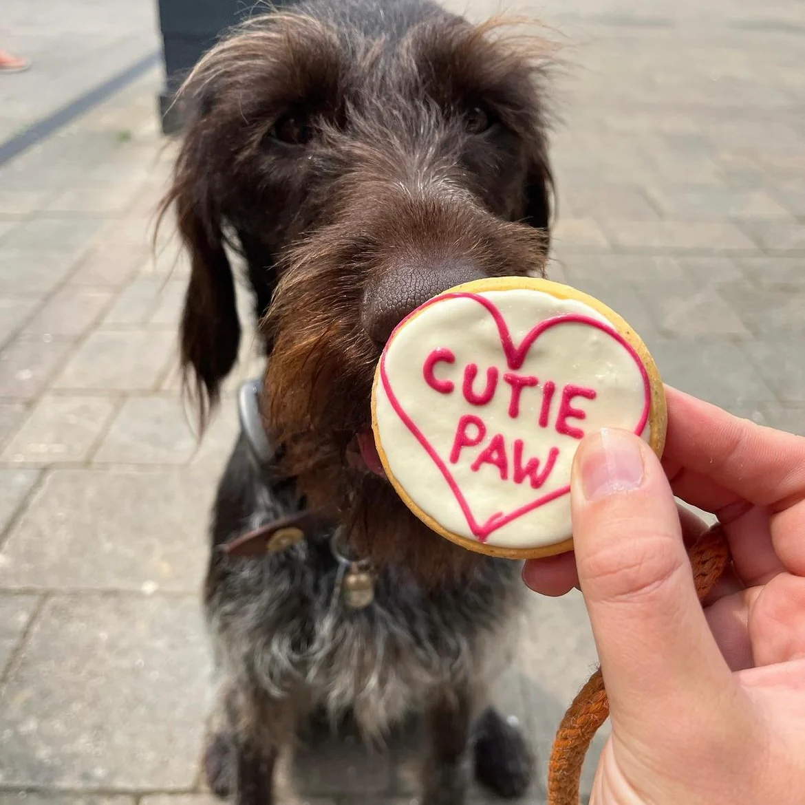 Handmade Love Heart Biscuits for Dogs - Image 4