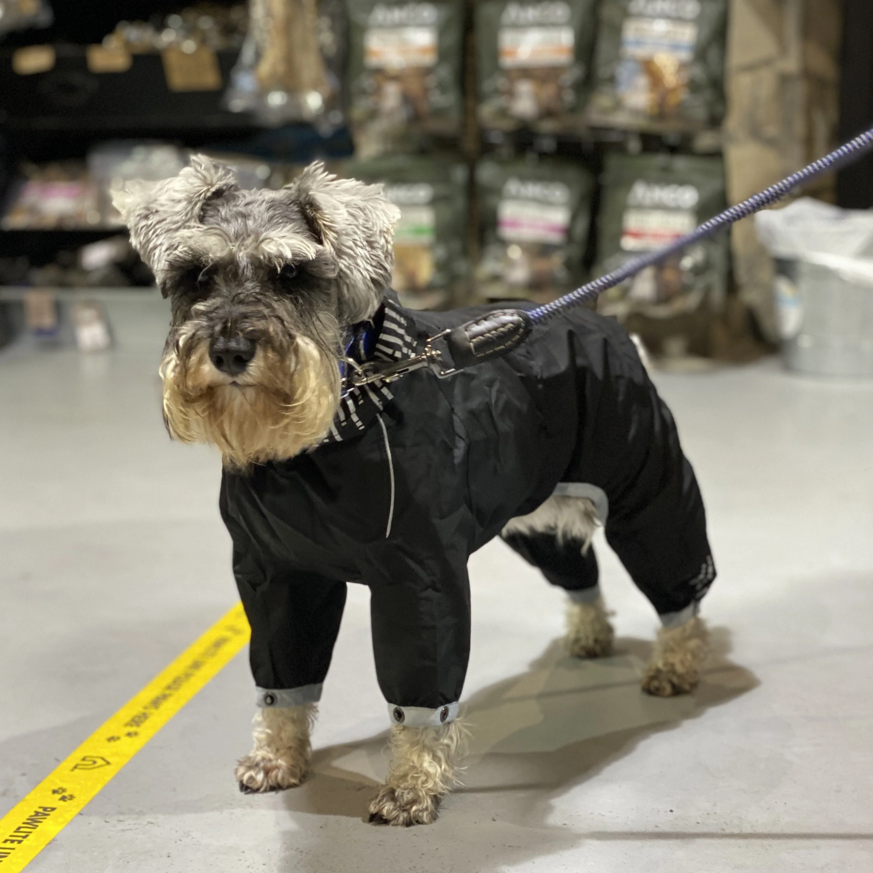 Hurtta Downpour Suit - Image 4