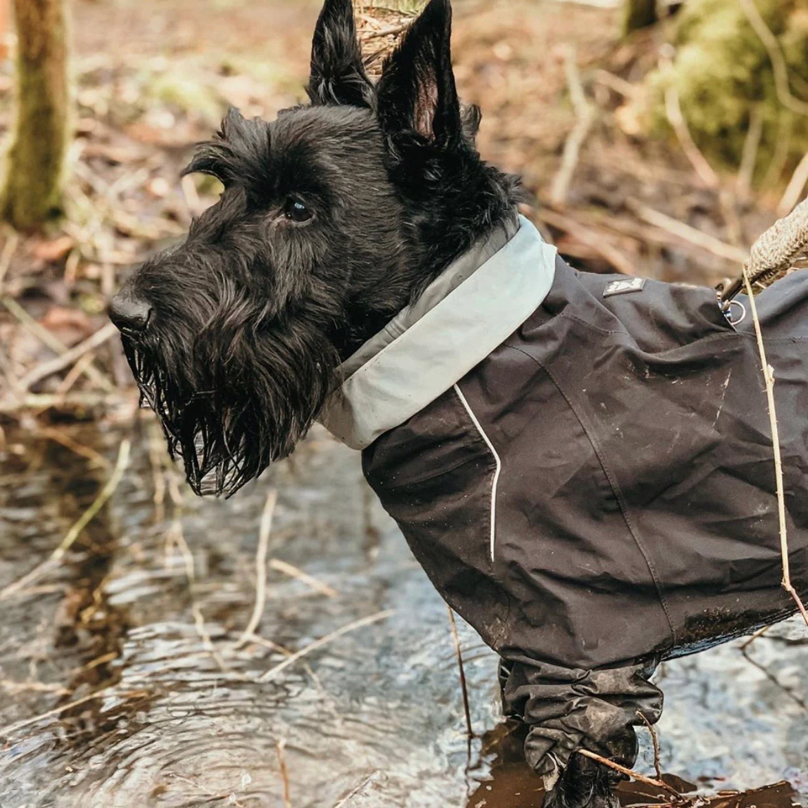 Hurtta Downpour Suit - Image 6