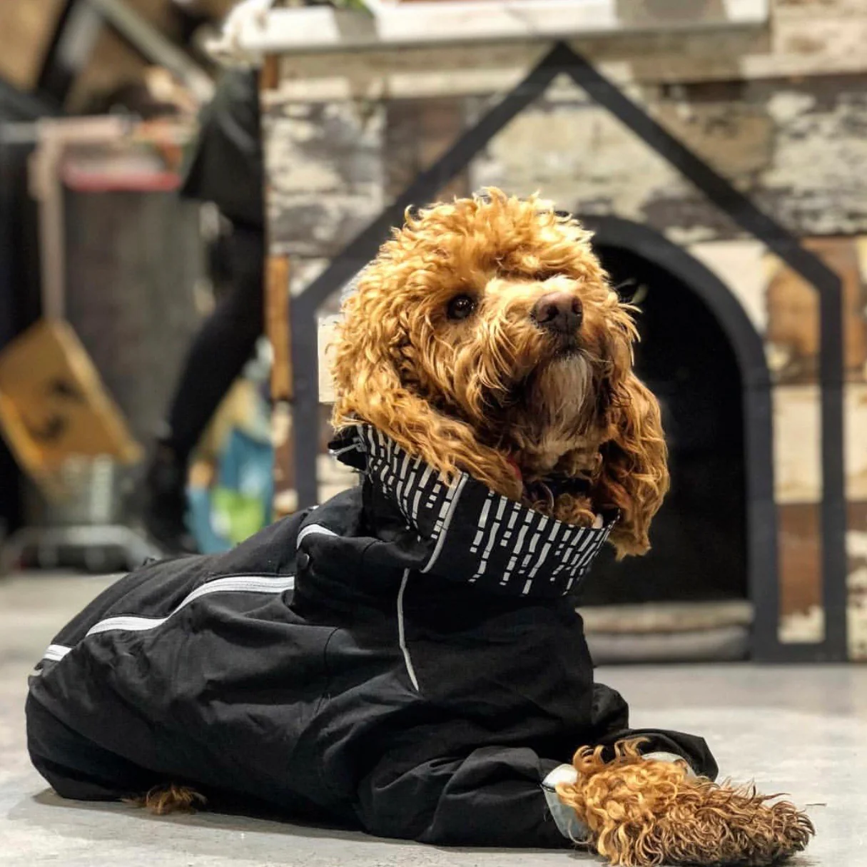 Hurtta Downpour Suit - Image 7