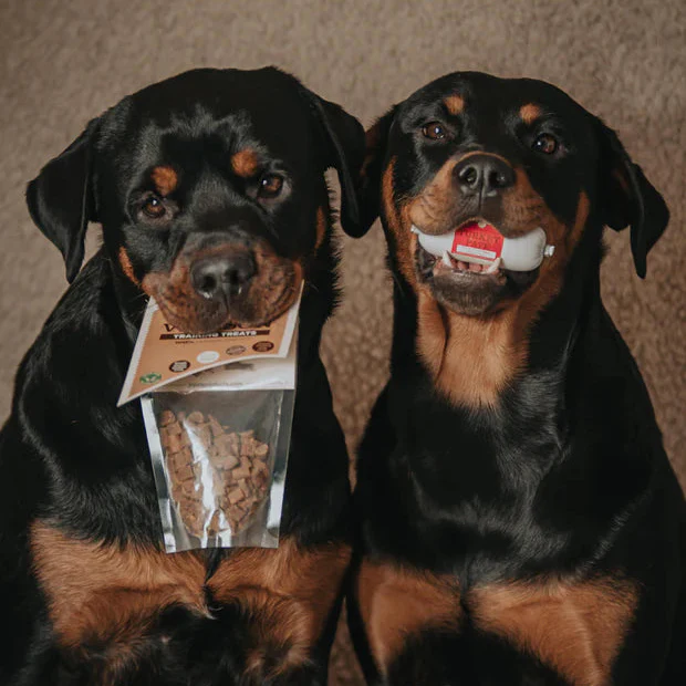 JR Pets 100% Fresh Meat Dog Training Treats - Image 6