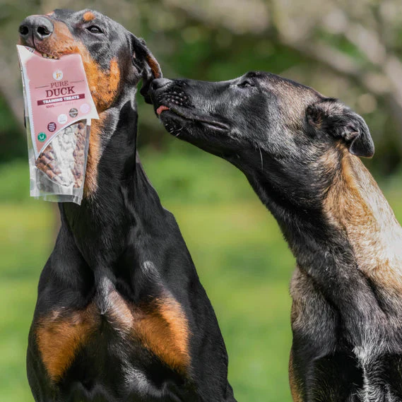 JR Pets 100% Fresh Meat Dog Training Treats - Image 7