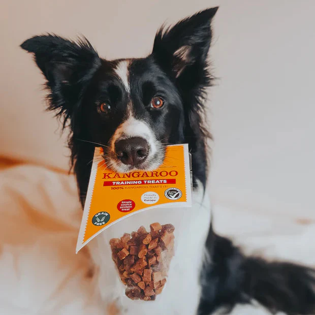 JR Pets 100% Fresh Meat Dog Training Treats - Image 9