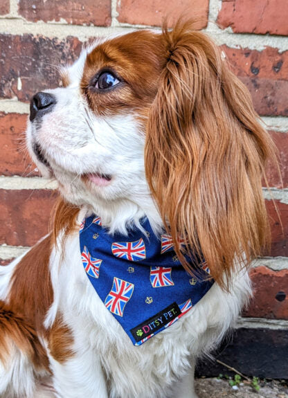 Navy Blue Union Jack Dog Bandana by Ditsy Pet - Image 3