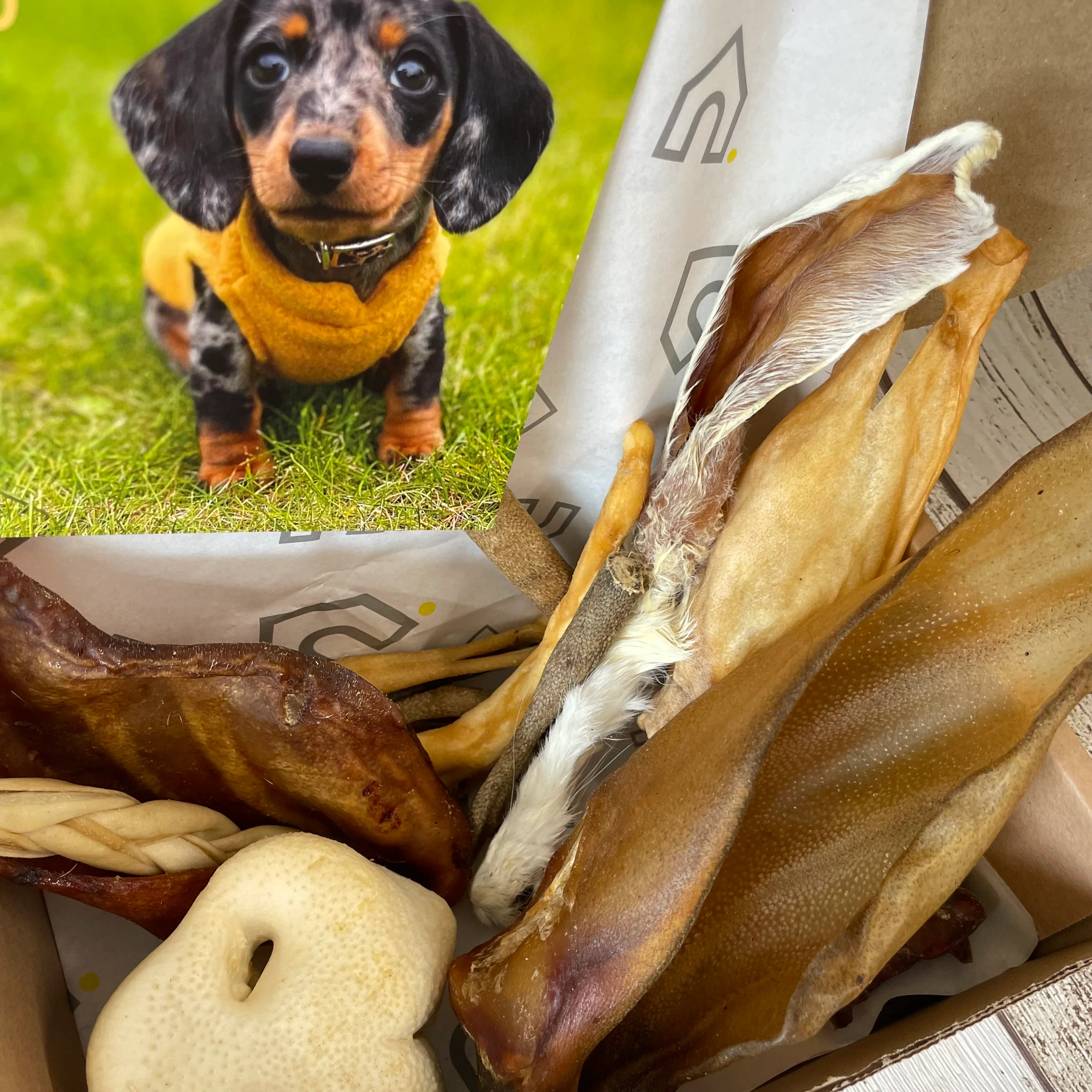 Large Natural Dog Treat Box - Image 3
