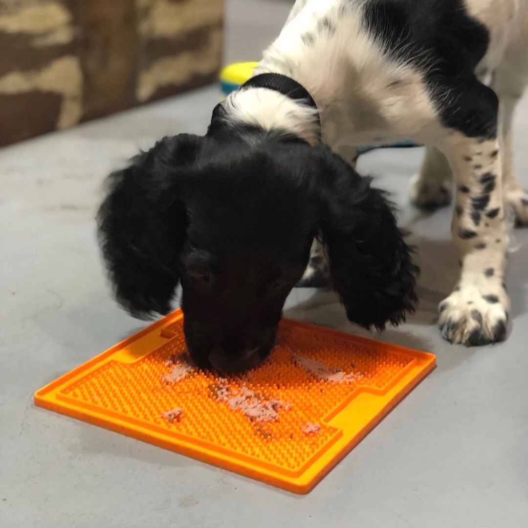 LickiMat™  - Boredom Busters - Image 9