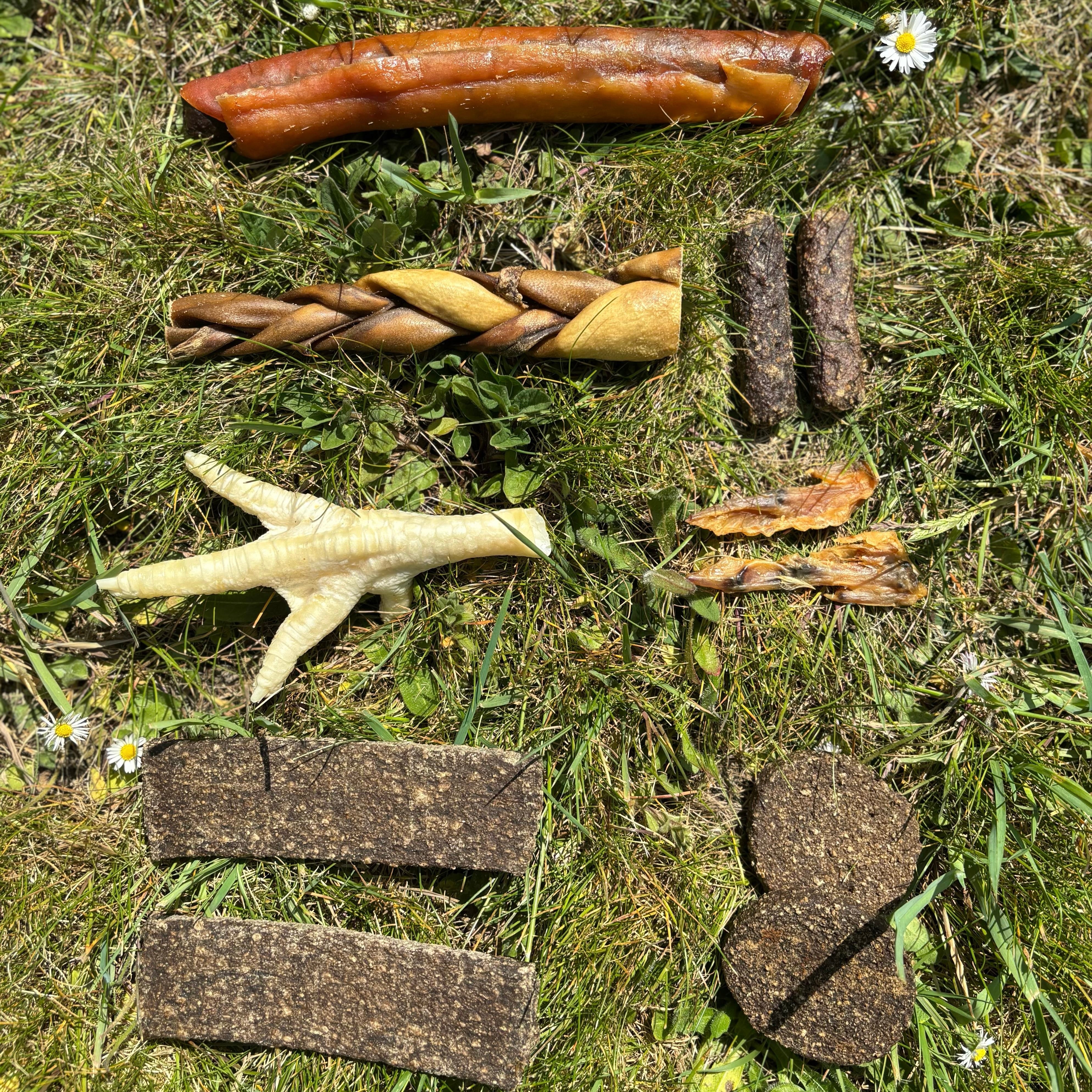 Natural Picnic Treat Pack for Dogs - Image 3