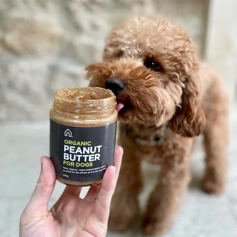 Pure Peanut Butter for Dogs - Image 7