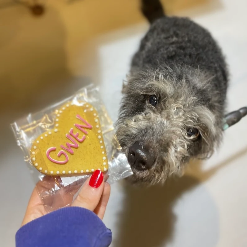Personalised Dog Biscuits for Dogs - Image 4