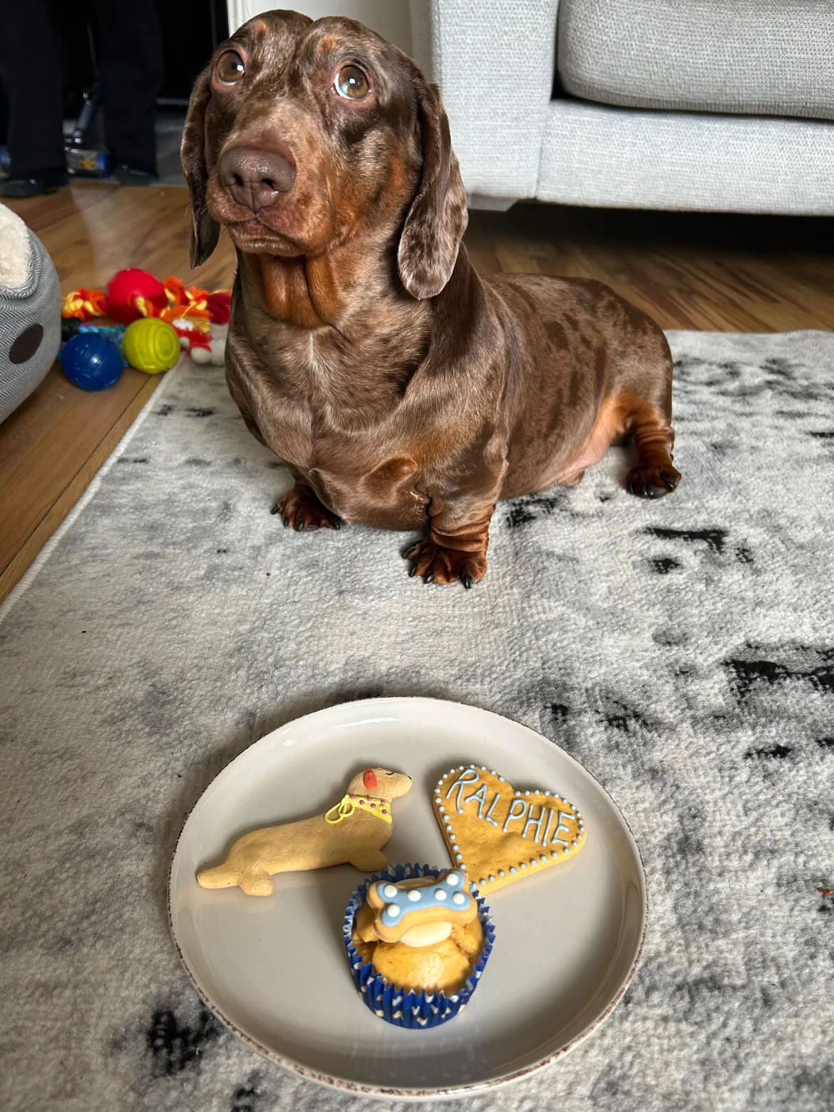 Personalised Dog Biscuits for Dogs - Image 8