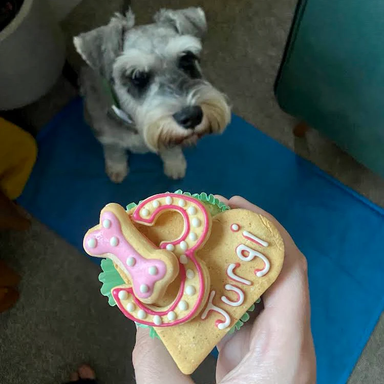 Personalised Cupcakes for Dogs - Image 3