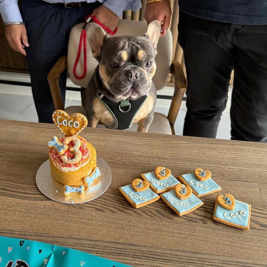 Personalised 'Party Bag' Biscuits for Dogs - Image 4